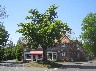Binfield Heath 1